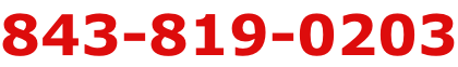 843-819-0203